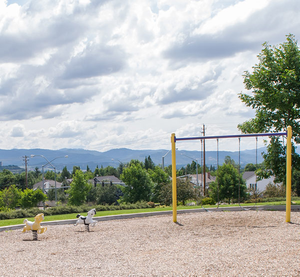 Summerfield Park Playground